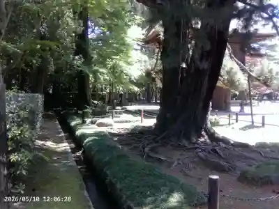 平林寺の{uncategorized: "未分類", other: "その他", undefined: "問題あり", building: "その他建物", grave: "お墓", sacred_gate: "鳥居", guardian: "狛犬", statue: "像", buddha: "仏像", history: "歴史", nature: "自然", garden: "庭園", animal: "動物", pagoda: "塔", temizu: "手水舎", mountain_gate: "山門・神門", sanctuary: "本殿・本堂", subordinate: "末社・摂社", art: "芸術", scenery: "景色", jizo: "地蔵", ema: "絵馬", goshuin: "御朱印", omikuji: "おみくじ", items: "授与品その他", amulet: "お守り", goshuincho: "御朱印帳", eats: "食事", festival: "お祭り", votive_dance: "神楽", shichigosan: "七五三参", wedding: "結婚式", experience: "体験その他", initially: "初詣", around: "周辺", anti_infection: "感染症対策"}