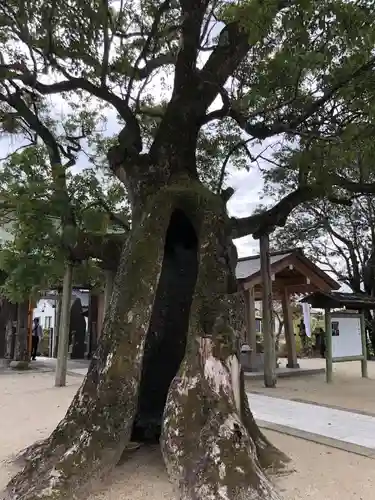 新北神社の自然