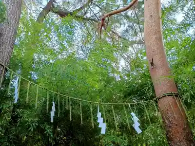 自由が丘熊野神社(東京都)