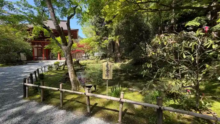 室生寺の{uncategorized: "未分類", other: "その他", undefined: "問題あり", building: "その他建物", grave: "お墓", sacred_gate: "鳥居", guardian: "狛犬", statue: "像", buddha: "仏像", history: "歴史", nature: "自然", garden: "庭園", animal: "動物", pagoda: "塔", temizu: "手水舎", mountain_gate: "山門・神門", sanctuary: "本殿・本堂", subordinate: "末社・摂社", art: "芸術", scenery: "景色", jizo: "地蔵", ema: "絵馬", goshuin: "御朱印", omikuji: "おみくじ", items: "授与品その他", amulet: "お守り", goshuincho: "御朱印帳", eats: "食事", festival: "お祭り", votive_dance: "神楽", shichigosan: "七五三参", wedding: "結婚式", experience: "体験その他", initially: "初詣", around: "周辺", anti_infection: "感染症対策"}