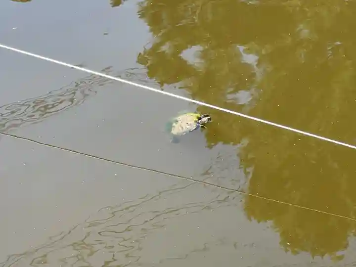 市原稲荷神社(愛知県)