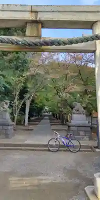 高來神社の鳥居