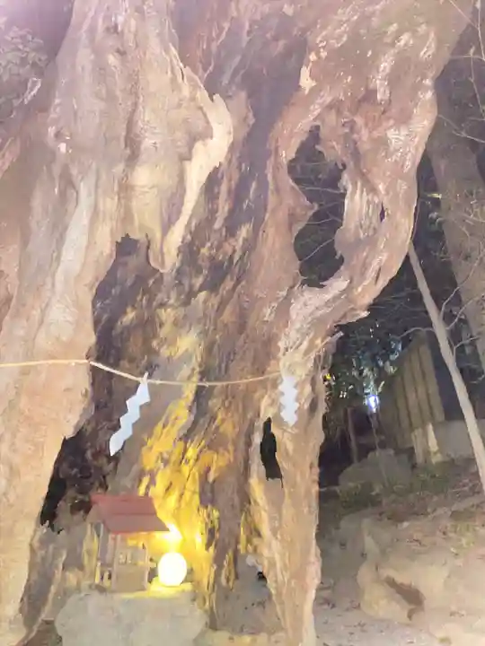 來宮神社のその他建物