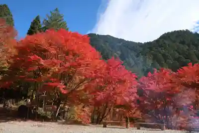 竜神神社(岐阜県)