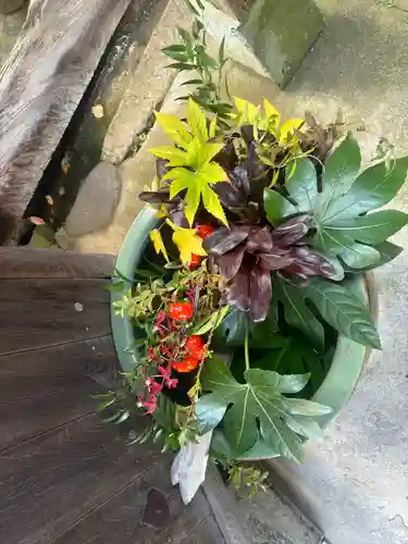 浅野川稲荷神社(石川県)