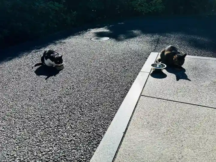 白金氷川神社(東京都)