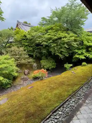 相国寺（相国承天禅寺）の{uncategorized: "未分類", other: "その他", undefined: "問題あり", building: "その他建物", grave: "お墓", sacred_gate: "鳥居", guardian: "狛犬", statue: "像", buddha: "仏像", history: "歴史", nature: "自然", garden: "庭園", animal: "動物", pagoda: "塔", temizu: "手水舎", mountain_gate: "山門・神門", sanctuary: "本殿・本堂", subordinate: "末社・摂社", art: "芸術", scenery: "景色", jizo: "地蔵", ema: "絵馬", goshuin: "御朱印", omikuji: "おみくじ", items: "授与品その他", amulet: "お守り", goshuincho: "御朱印帳", eats: "食事", festival: "お祭り", votive_dance: "神楽", shichigosan: "七五三参", wedding: "結婚式", experience: "体験その他", initially: "初詣", around: "周辺", anti_infection: "感染症対策"}