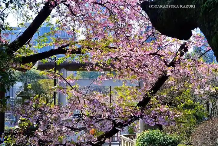 五條天神社の自然