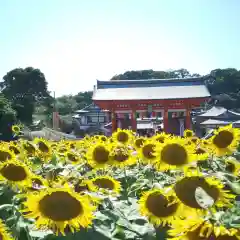 満願寺の自然