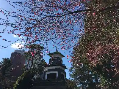 尾山神社の山門・神門