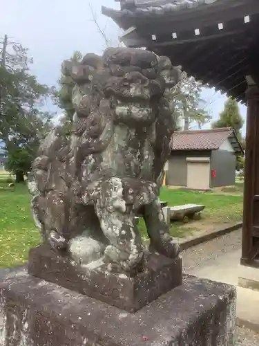 加賀野八幡神社の狛犬