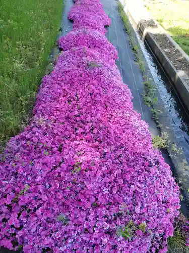徳市神明社の自然