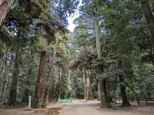 鹿島神宮(茨城県)