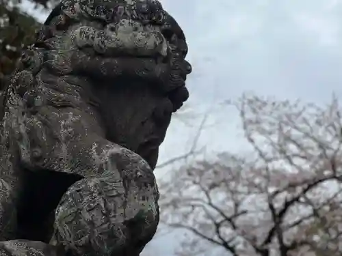 富士山本宮浅間大社の狛犬