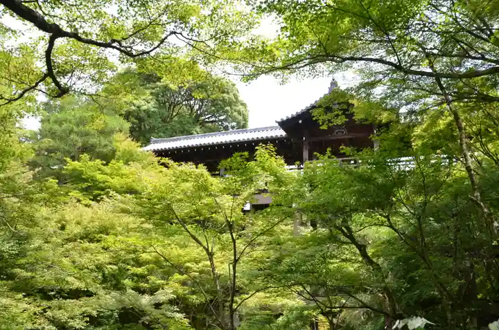 東福禅寺(東福寺)(京都府)