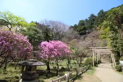 八王寺(埼玉県)