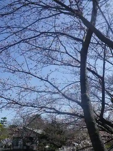 鶴岡八幡宮の自然