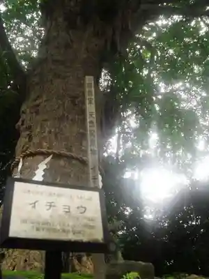 荏柄天神社のその他建物