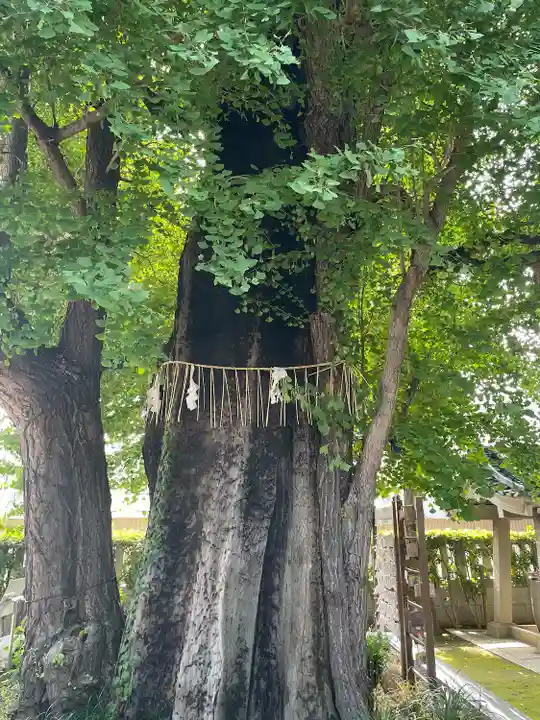 飛木稲荷神社(東京都)