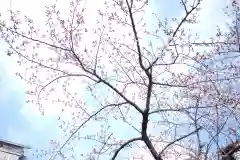 熊野神社の自然