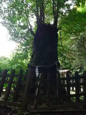 大元神社（宇佐神宮奥宮）(大分県)