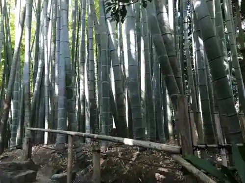 報国寺のその他建物