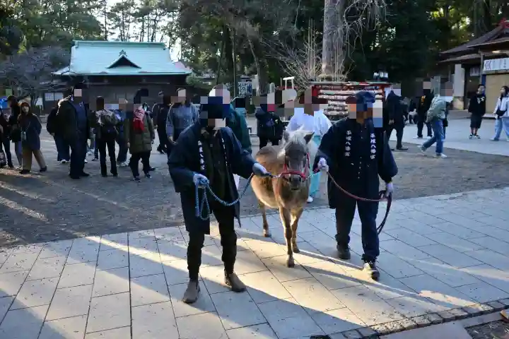 平塚八幡宮の{uncategorized: "未分類", other: "その他", undefined: "問題あり", building: "その他建物", grave: "お墓", sacred_gate: "鳥居", guardian: "狛犬", statue: "像", buddha: "仏像", history: "歴史", nature: "自然", garden: "庭園", animal: "動物", pagoda: "塔", temizu: "手水舎", mountain_gate: "山門・神門", sanctuary: "本殿・本堂", subordinate: "末社・摂社", art: "芸術", scenery: "景色", jizo: "地蔵", ema: "絵馬", goshuin: "御朱印", omikuji: "おみくじ", items: "授与品その他", amulet: "お守り", goshuincho: "御朱印帳", eats: "食事", festival: "お祭り", votive_dance: "神楽", shichigosan: "七五三参", wedding: "結婚式", experience: "体験その他", initially: "初詣", around: "周辺", anti_infection: "感染症対策"}