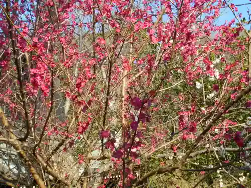 御霊神社の自然