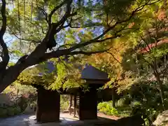 普門寺(切り絵御朱印発祥の寺)(愛知県)