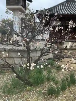 長尾天神宮(香川県)