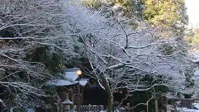 御寺 泉涌寺(京都府)