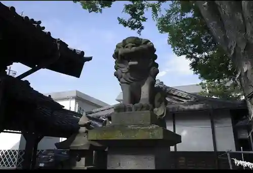 松本神社の狛犬