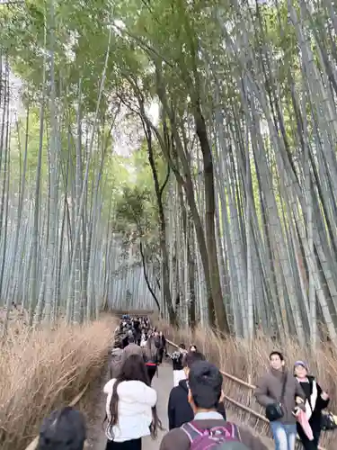 野宮神社(京都府)