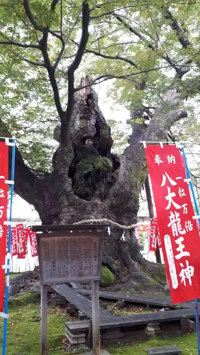 秩父今宮神社(埼玉県)
