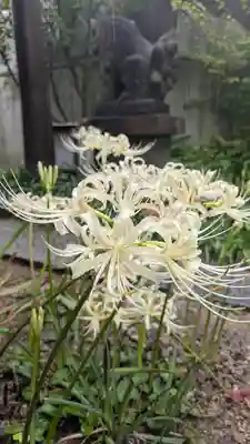 全興寺(大阪府)