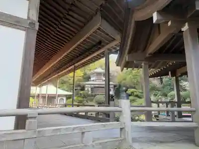 光明寺の{uncategorized: "未分類", other: "その他", undefined: "問題あり", building: "その他建物", grave: "お墓", sacred_gate: "鳥居", guardian: "狛犬", statue: "像", buddha: "仏像", history: "歴史", nature: "自然", garden: "庭園", animal: "動物", pagoda: "塔", temizu: "手水舎", mountain_gate: "山門・神門", sanctuary: "本殿・本堂", subordinate: "末社・摂社", art: "芸術", scenery: "景色", jizo: "地蔵", ema: "絵馬", goshuin: "御朱印", omikuji: "おみくじ", items: "授与品その他", amulet: "お守り", goshuincho: "御朱印帳", eats: "食事", festival: "お祭り", votive_dance: "神楽", shichigosan: "七五三参", wedding: "結婚式", experience: "体験その他", initially: "初詣", around: "周辺", anti_infection: "感染症対策"}
