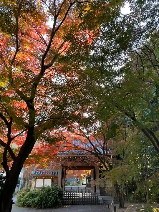 高円寺(東京都)