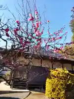 長泉院の本殿・本堂