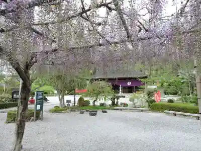 宝林寺(静岡県)
