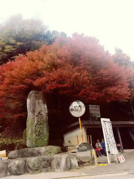 千如寺大悲王院の自然