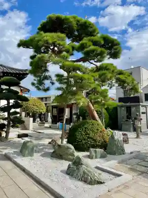 梅王寺(東京都)