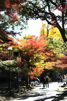 淨眞寺(東京都)