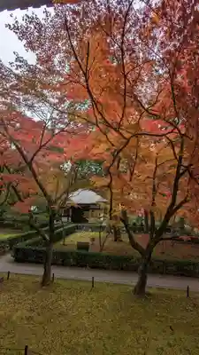 真正極楽寺(真如堂)(京都府)