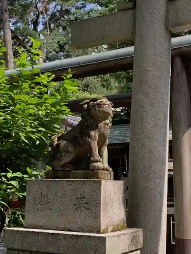 白雲神社の狛犬