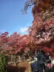 東福禅寺（東福寺）(京都府)