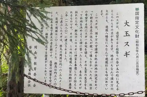 飛龍八幡宮(山口県)