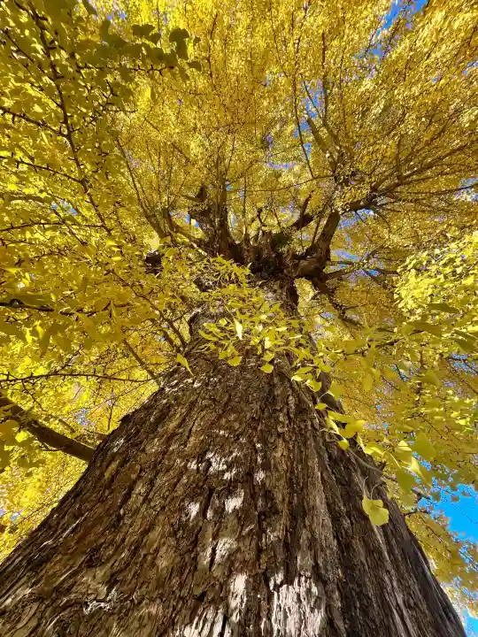 丹生酒殿神社(和歌山県)