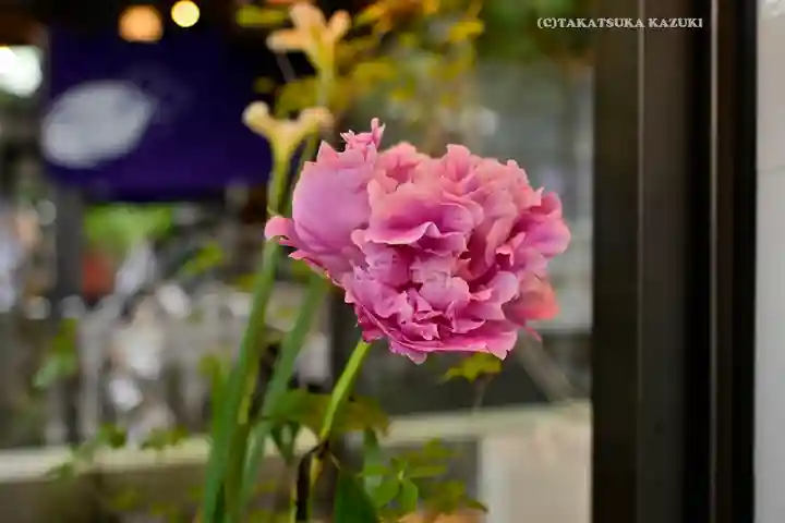 小野照崎神社(東京都)