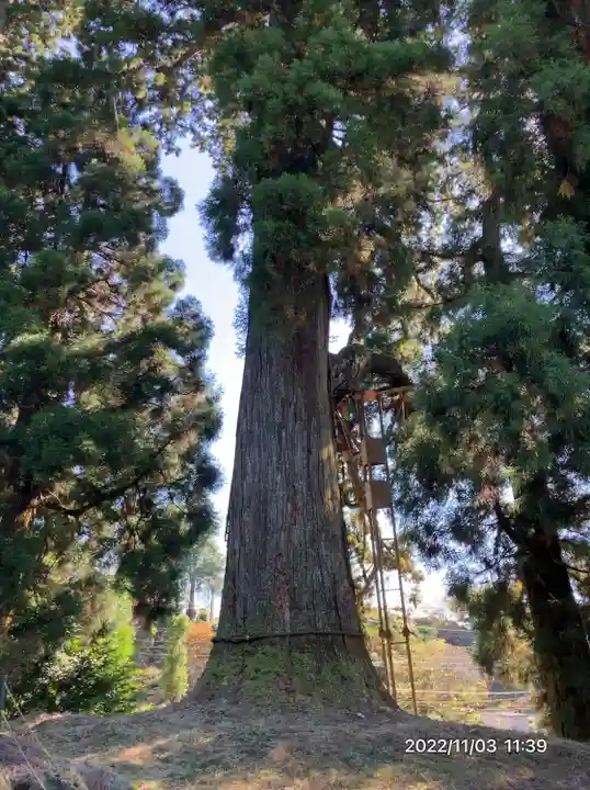 村山浅間神社(静岡県)