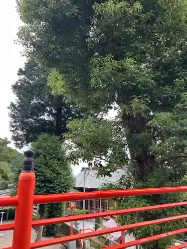 足立山妙見宮（御祖神社）(福岡県)